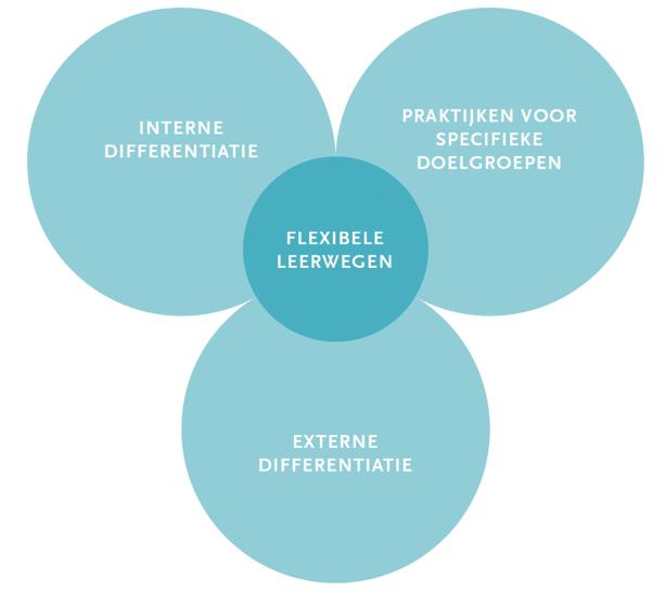 174 T.O.R.B. 2016-17/3 II. Flexibele leerwegen als antwoord II.1. Vormen van flexibele leerwegen Onder flexibele leerwegen verstaan we flexibiliteit in wat, hoe, wanneer, waar en met wie er geleerd