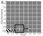 WAT HOREN WE fmri study Heschl s gyrus Schönwiesner, M., & Zatorre, R.