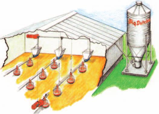 Inzetmogelijkheden van de verschillende voerpannen Productierichting Gewicht (kg) BIG PAN 330 BIG PAN PLUS MULTI PAN MULTI PAN PLUS Mesten van vleeskuikens 0-3,5 ad libitum gecontroleerd ad libitum