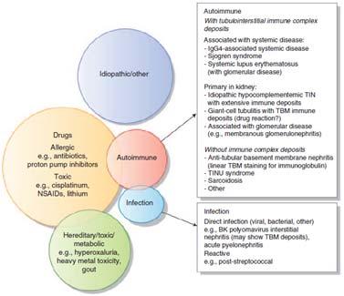 Tubul-interstitiële nefritis 50-75% heeft nierfunctie-beperking p mment van diagnse prteïnurie 0,5-1 g/24u