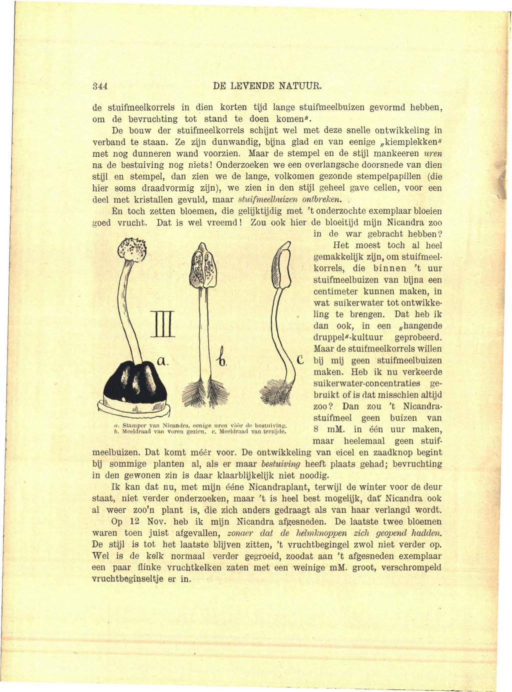 344 DE LEVENDE NATUUR. de stuifmeelkorrels in dien korten tijd lange stuifmeelbuizen gevormd hebben, om de bevruchting tot stand te doen komen".