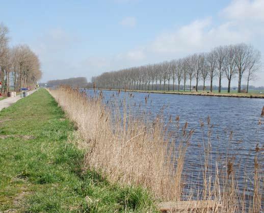 Zeven alternatieven Tijdens de tweede fase van de studie zijn zeven alternatieven ontwikkeld, die in meer of mindere mate