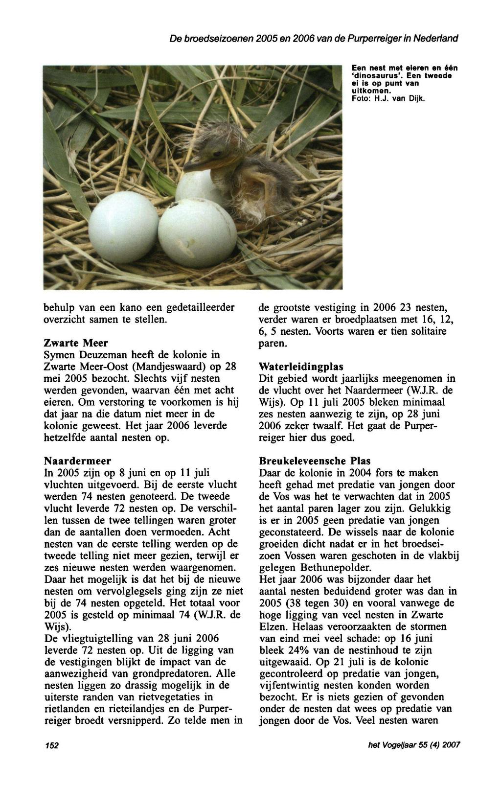 De broedseizoenen 2005 en 2006 van de Purperreigerin Nederland Een nest met eieren en één dinosaurus. Een tweede ei is op punt van uitkomen. Foto: H.J. van Dijk.