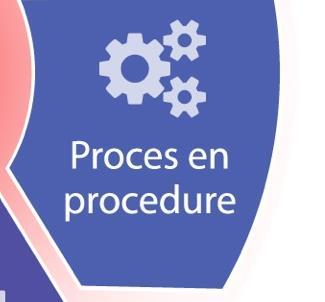 Risk Competence Processen en procedures: De mate waarin een organisatie de processen en