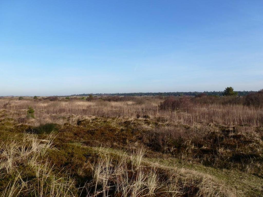 Blik op de Kroonpolders in oostelijke richting (o.a.