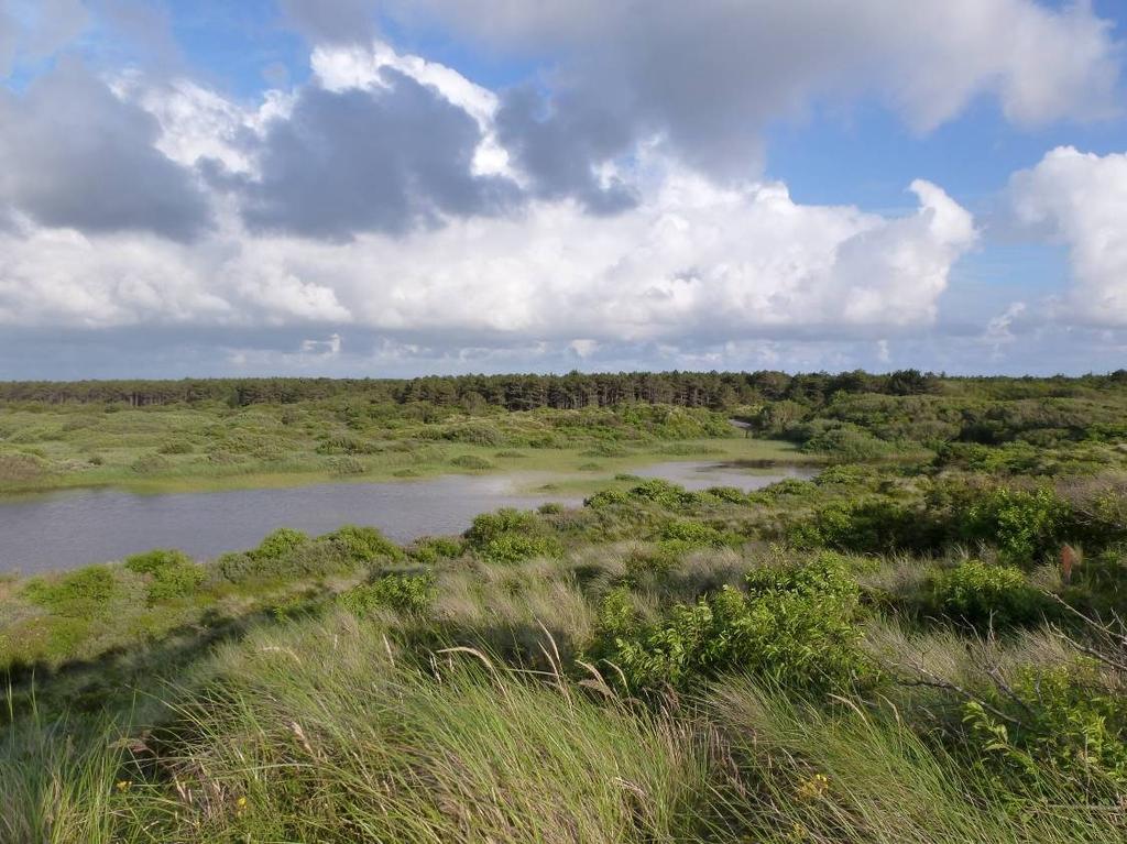 grondwater (zoals in figuur 3.29) Of het Kaapjesvlak destijds vergelijkbare omstandigheden had, is niet bekend.