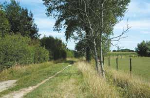 Routebeschrijving 1 Drongen station De wandeling start aan het station van Drongen. Hier kan je meteen kiezen voor de korte en middellange ofwel de lange variant van de wandeling.