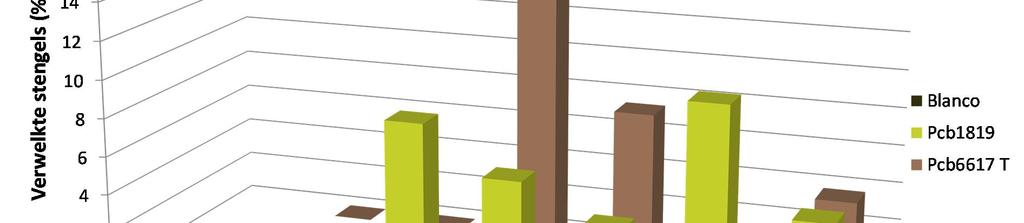 Figuur 8 Evolutie percentage rotte stengels Rotte stengels 18 jun Rotte stengels (%) 10 8 6 4 19 jun 27 jun 3 jul 9 jul 15 jul 2