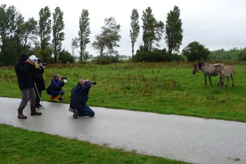 Enthousiaste hobbyfotografen die van natuurfotografie houden krijgen hiertoe een bijzondere kans op de Landtong.