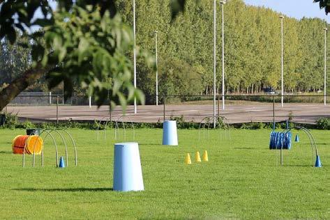 Het werkt vooral met lichaamscommando s/ lichaamstaal en enkele stemcommando s om richting te geven. Zo ontstaat door training een mooie samenwerking tussen hond en baas.