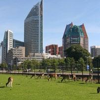 Thema Informatievoorziening Natuur Wettelijke Onderzoekstaken Natuur & Milieu Postbus 47 6700 AA Wageningen T