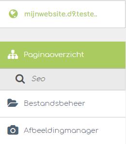 SEO Onder Paginaoverzicht vind je de functie Seo, wat staat voor Search Engine Optimalisatie. Hier kun je de zogeheten Metatags en Metadescriptions van jouw pagina s wijzigen.