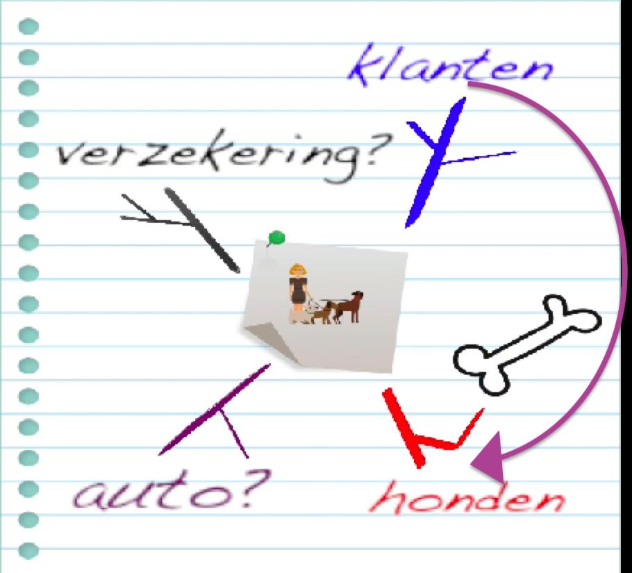 Mindmap (de) Een schema dat eruit ziet als een soort boom met takken en zijtakken.