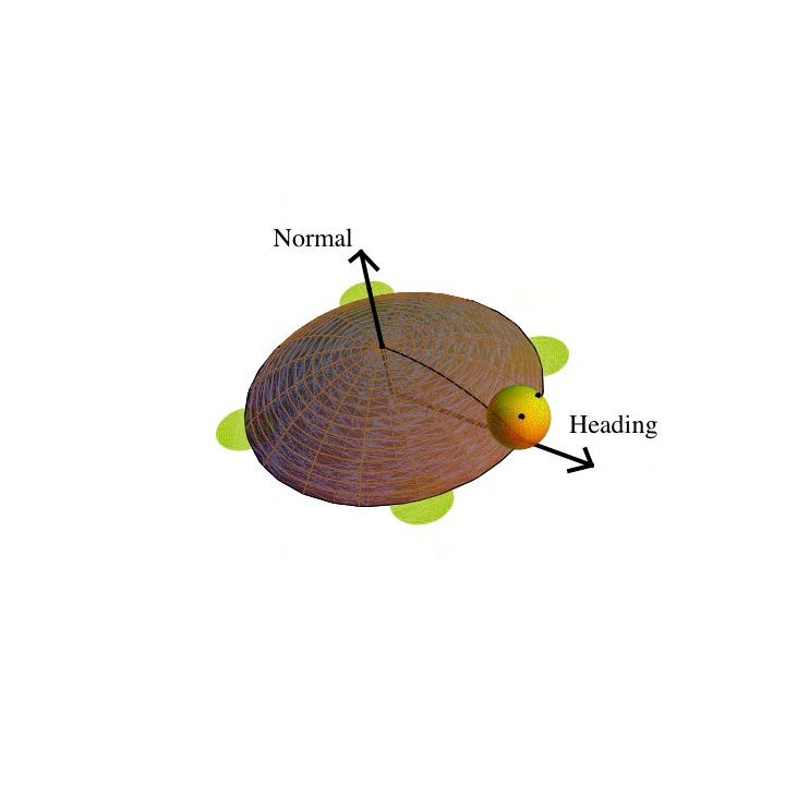 3D schildpad meetkunde (Turtle Geometry) Toestand : Positie in de ruimte Houding = ( richtingsvector, normaalvector ) Commando s : Move(d): beweeg afstand d langs