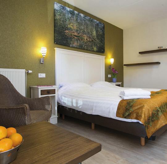 Als hotelgast kunt u dagelijks onbeperkt genieten van de diverse Thermaalbaden, Kneippbaden en sauna s.