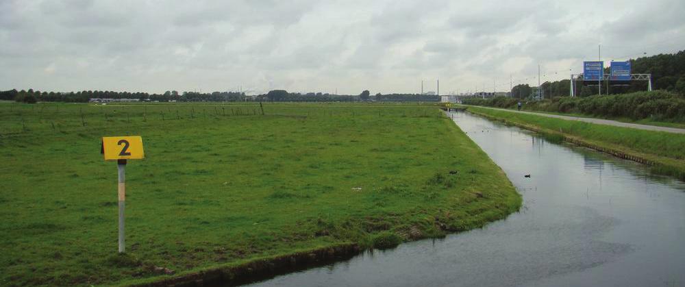 temidden van diverse stedelijk getinte activiteiten aan de randen daarvan.