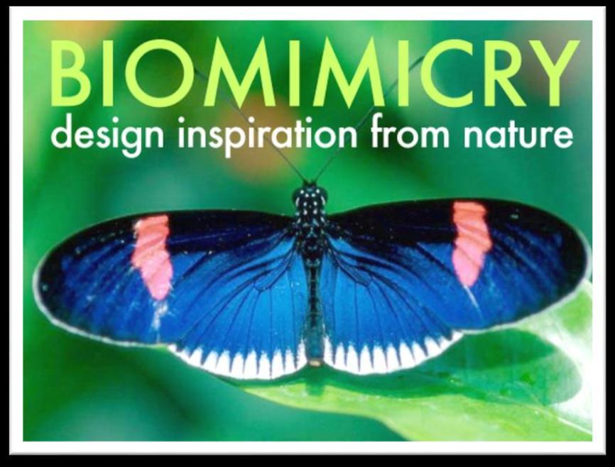 Lezing over Biomimicry door Bas Sanders Het nabootsen van wat planten en dieren al miljarden jaren geleden hebben uitgevonden en dat toepassen in de technologie, is biomimicry genaamd.