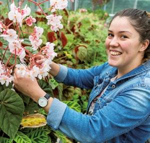 teelt Medewerker teelt Niveau 2 Duur: 2 jaar Leerweg: BOL: Ja / BBL: Ja Toelatingseisen: Vmbo-diploma basisberoepsgerichte leerweg of een entreeopleiding (mbo-niveau 1) Keuzedelen: