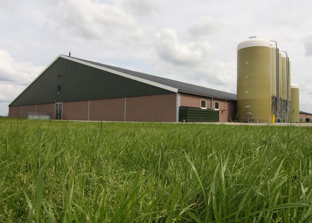 Knelpunten en oplossingen De belangrijkste knelpunten voor de verdere ontwikkeling van de Nederlandse varkensketens zijn: mest; gezondheid; ruimtelijke ordening.