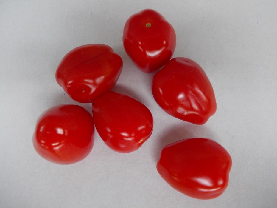behanglengte Iets rondere en niet-gemote, ovale tomaatjes Meer langwerpige, gemote tomaatjes, klein deukje