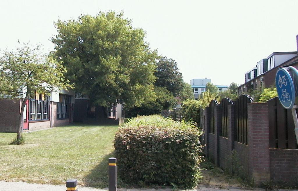 fraaie bomen is het Abdijplein in