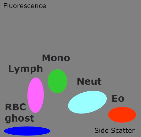 Bron: Sysmex Be/Nl Automatische celtellingen Hoofdprincipes: lichtverstrooiing & fluorescentie 4-delige differentiatie (= 4-diff kanaal)