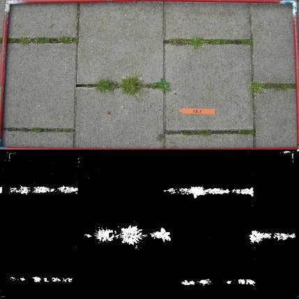 9 Figuur 2.3. Foto van een telvlak en beeldanalyse op onkruidbezetting (ca 4%). Tabel 2.2. Onkruidbeeld op verharding in Barendrechtproef 2008.