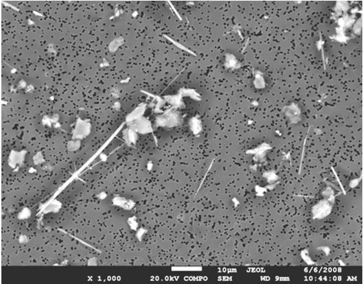 4 scanning elektronenmicroscoop (SEM) met een RMA-detector Figuur 2.