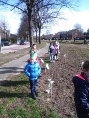 De dorpsraad had dit jaar de kinderen van groep 3 uitgenodigd om bloemen te komen zaaien op een perceel bij de Groene Zoom, tegenover de Karavanserai.