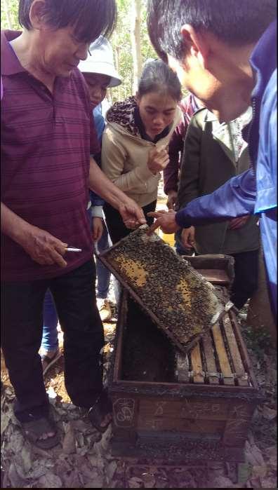 Meneer Minh gaf uitleg over het bijenhouden, de ontwikkeling van bijenvolken laten zien, hoe honing, was en stuifmeel