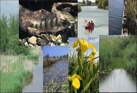 Beschrijving van de doelen voor het waterlichaam Maren Reitdiep Meer beeldend kan het GEP ook in woorden worden uitgedrukt. In dit kader is een beschrijving van het GEP opgenomen.