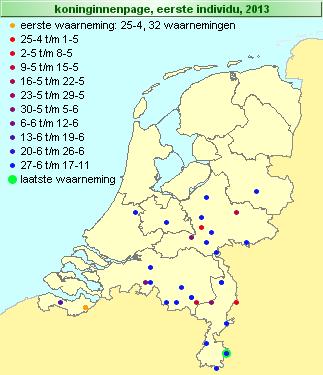 Fenologisch Links vliegtijddiagram van de koninginnenpage in Nederland De soort vliegt in twee generaties vanaf april tot eind september. De piek van de 1 e generatie ligt eind mei en begin juni.