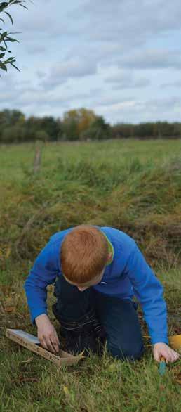 Plant de bollen zo veel mogelijk op het zelfde moment, dan bloeien ze in het voorjaar ook tegelijkertijd De grond langs de smalle landweggetjes is vaak heel hard aangereden door elkaar passerende