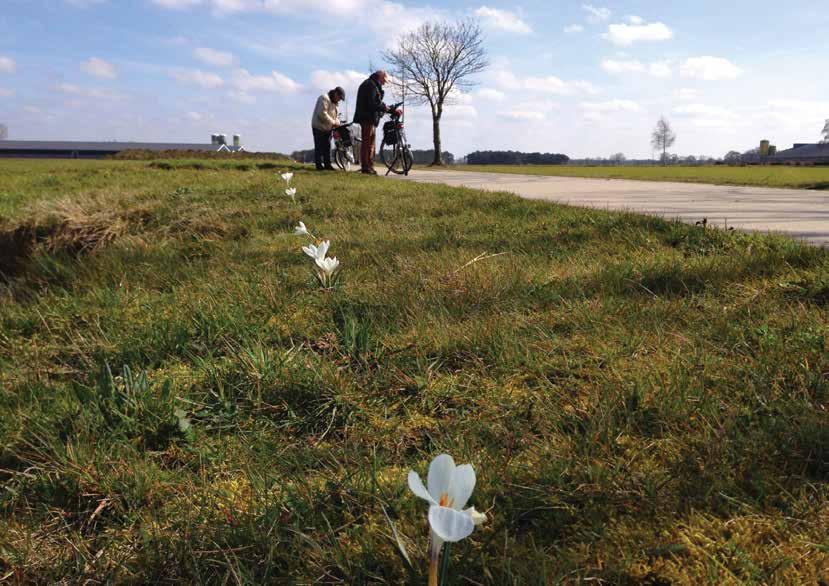 projectomschrijving De dodendraad leeft is een erfgoedproject en een landkunstwerk.