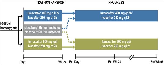 Versie post CTG 12.04.2016 FASE I De blootstelling aan ivacaftor bleek met ongeveer 80% gereduceerd bij gelijktijdige toediening van lumacaftor.