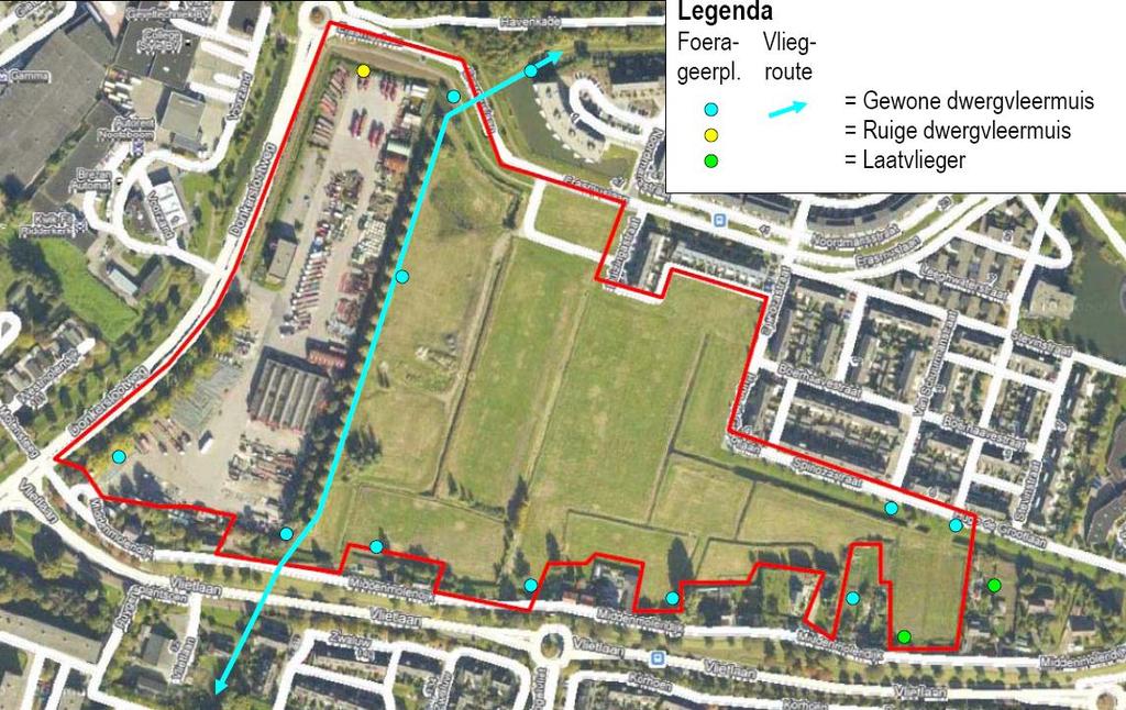 4 RESULTAAT 4.1 Rietorchis en (spin)dotterbloem Rietorchis en (spin)dotterbloem zijn niet vastgesteld ter plaatse van en direct rondom Het Zand-west te Ridderkerk.