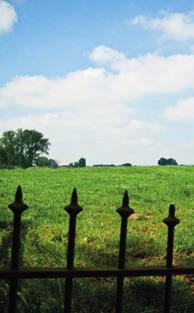 Monumenten zetten hun deur op een kier groene gordel