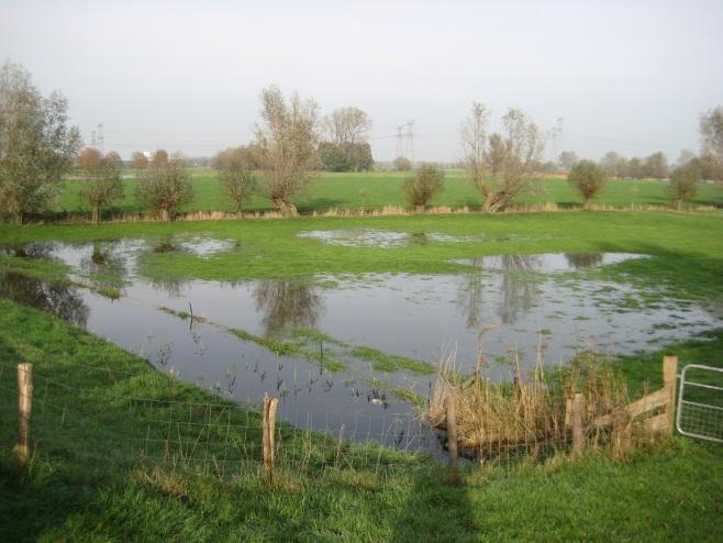Casus Zwolsedijk bij Hasselt in de IJsseldelta 31 januari 2014 Zwarte Water. In figuur 3 is een situatieschets weergegeven van het ontbreken van het voorland.