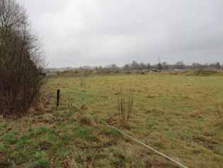 overzijde van het bosje. Foto s: J. Rijsdijk, 2017. De locaties van de pijpen zijn weergegeven in onderstaande tabel Pijp 1 52.172234 5.966838 Pijp 2 52.1722 5.9668 Pijp 3 52.1722 5.9667 Pijp 4 52.