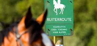 De visie gaat er vanuit dat het aantal ruiterroutes verder uitgebouwd zal worden en dat ontbrekende schakels in dit netwerk opgelost worden.