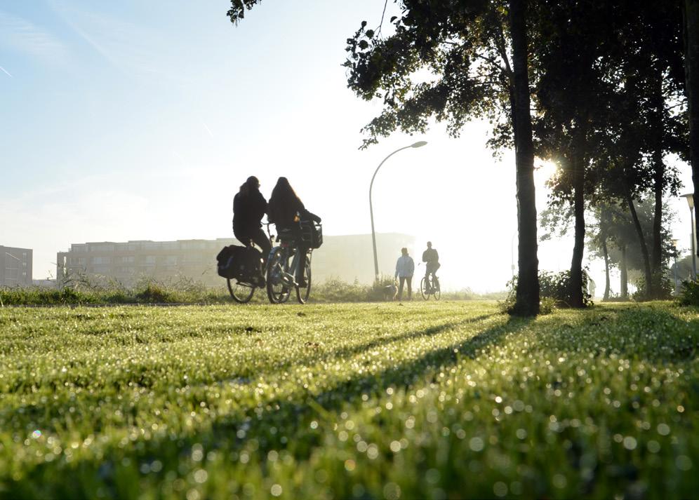 Mobiliteitsbeeld 2017 Kennisinstituut voor