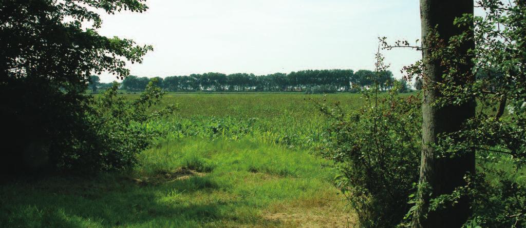 Dé Landschapsanalyse OnderwijsAgenda Onderwijs Een adviesinvan dehet provincie Kwaliteitsteam Zeeland: Zeeland dé OnderwijsAgenda voor geledingszone Middelburg-Vlissingen De overgebleven landgoederen