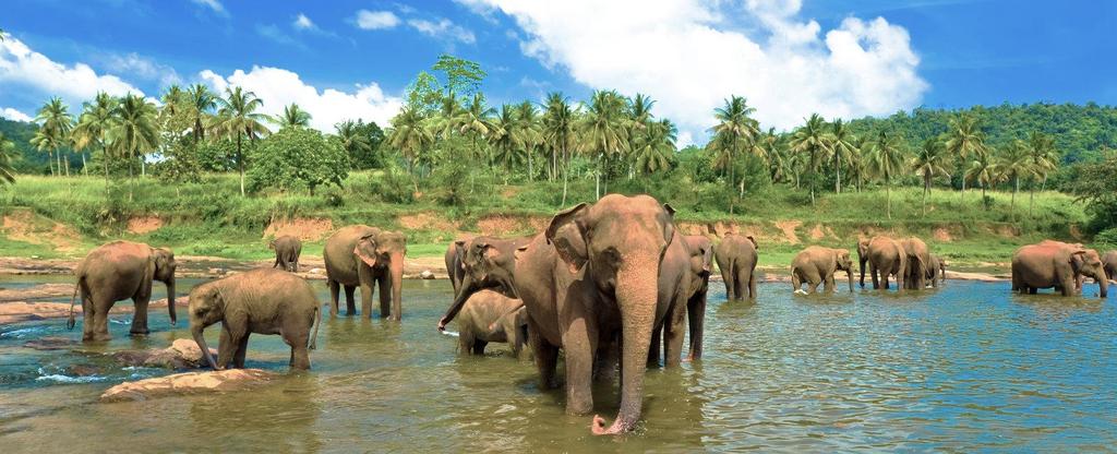 SRI LANKA