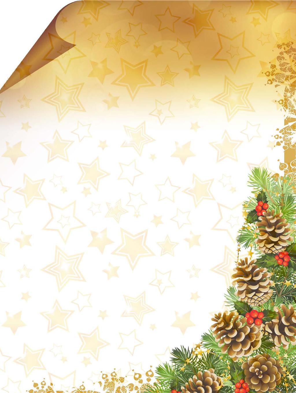 VOORZORG INFO 33 DECEMBER 2014 8 De persoonlijke kerstwensen van de bestuurs leden van Stichting Overleg Huurders Verhuurder Woningstichting De Voorzorg (het Overlegorgaan) Kerstmis is het feest van