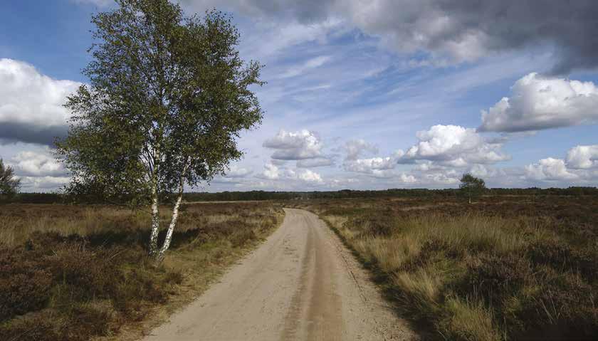 WELKOM IN EDE EN WAGENINGEN! U bent vandaag in congrescentrum de ReeHorst om de 42 ste editie van het landelijk archeologiecongres, de Reuvensdagen, mee te maken.