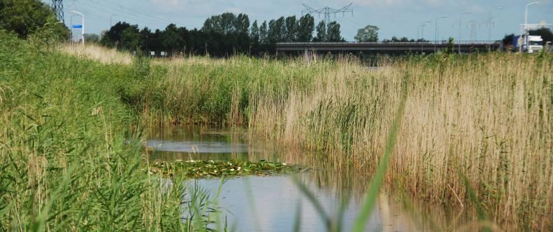 Het is het eerste kanaal dan sinds decennia in Nederland wordt aangelegd.