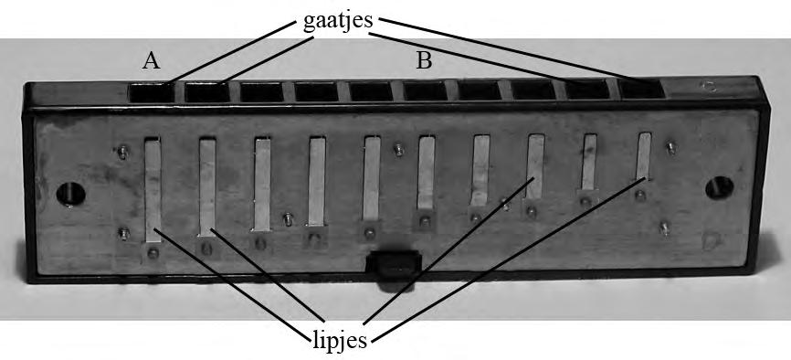 Opgave 1 Mondharmonica Van een mondharmonica is de beschermkap weggehaald. Zie figuur 1. figuur 1 Deze mondharmonica heeft tien gaatjes. Onder elk gaatje zit een metalen lipje.