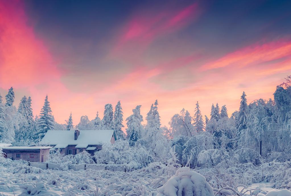 DE BLAUWE VOGEL WINTERS LAPLAND Lapland is de benaming van een regio Winters Lapland betekent ook In Lapland wonen de Sámi, de enige in Noord-Scandinavië en ligt voor onvergetelijke witte vlaktes en