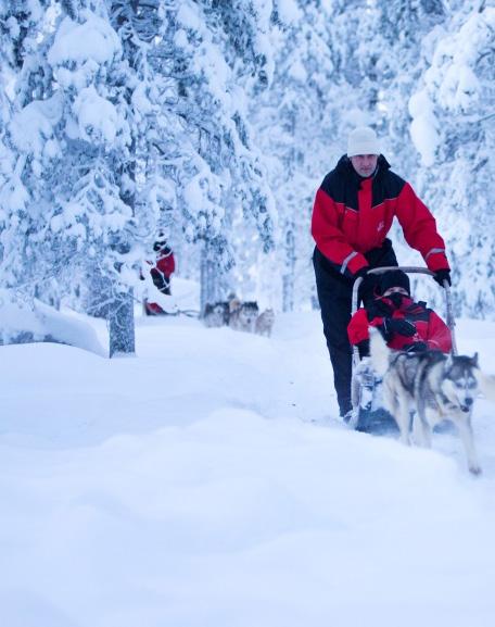 Rond de middag brengt u een bezoek aan een huskyboerderij. Na de ontvangst geniet u van een heerlijke soeplunch en luistert u naar de verhalen van de huskyherder.