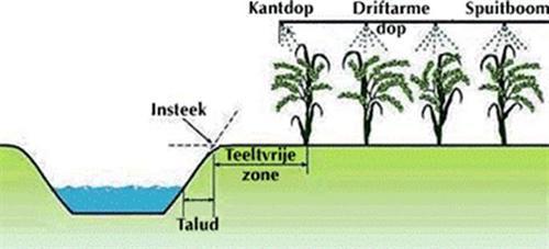 Teeltvrije zones Strook vrije grond tussen insteek sloot en hart buitenste planten